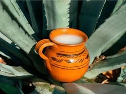 pulque