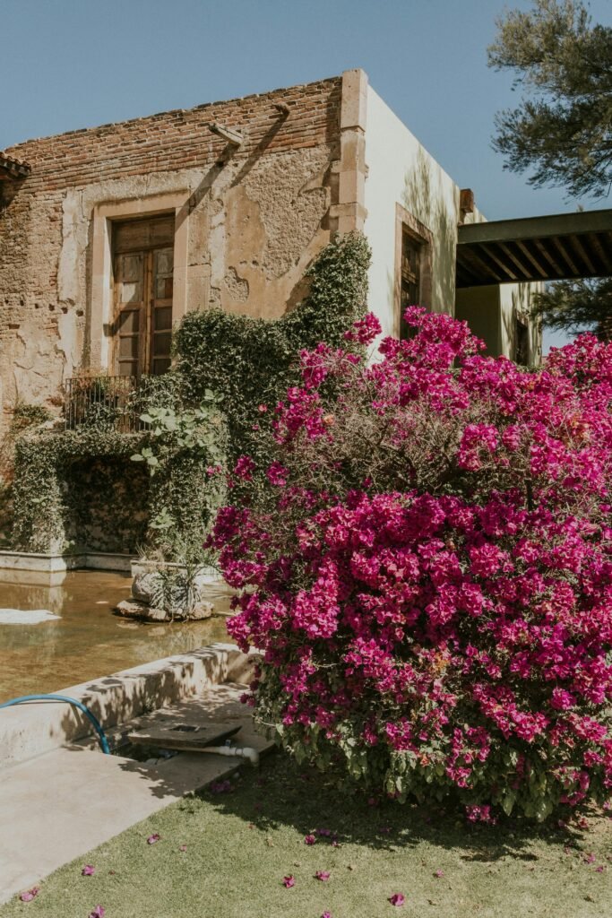 Haciendas Y Ranchos pexels amar 30893320